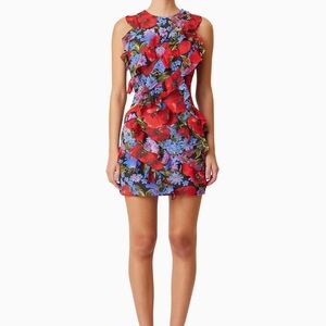 NWT Anthropologie Elliatt Thea Red and Blue ruffled Floral Mini Dress size XL